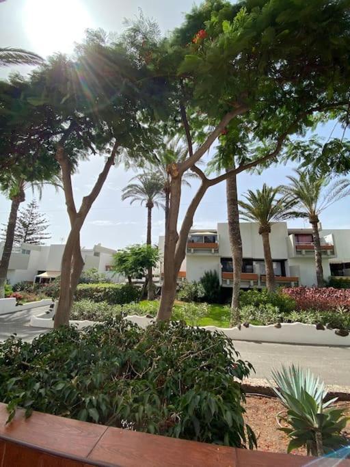 Apartamento Deniz Sur - Ten Bel Arona  Bagian luar foto